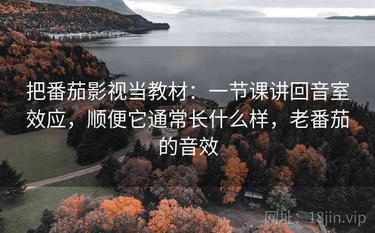 把番茄影视当教材：一节课讲回音室效应，顺便它通常长什么样，老番茄的音效